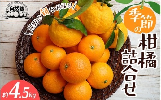 
                  みかん 自然塾 季節の柑橘詰合せ 約4.5㎏ みかん ミカン 温州みかん フルーツ 果物 くだもの 柑橘 不知火 せとか 果物セット フルーツセット 甘い 旬 人気 果汁 濃厚 ジューシー デザート 産地直送 農家直送 みかん 国産 お取り寄せ 新鮮 みかん おすすめ 三重県 熊野市【szjk0010】
                