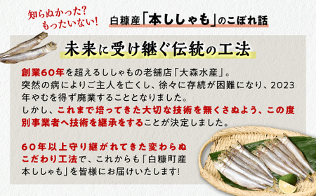 しらぬか産 本ししゃも【20尾（オスメス各10尾）】_A015-1019-60DAYS