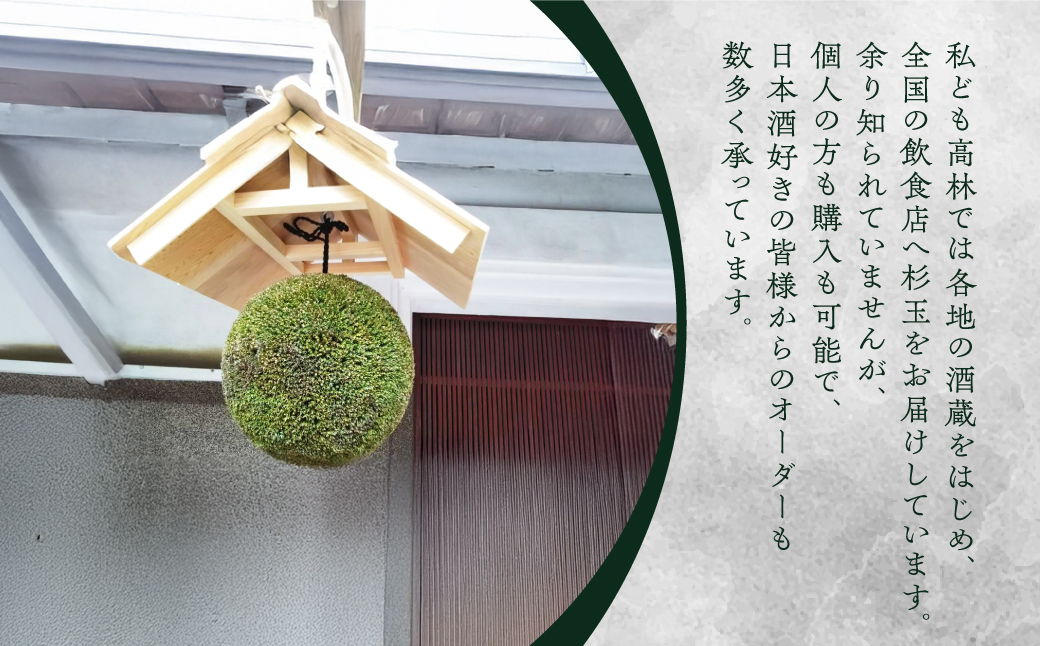 日本酒ライフに彩りを！杉玉直径40㎝。自宅やお店のインテリアに【67-2】