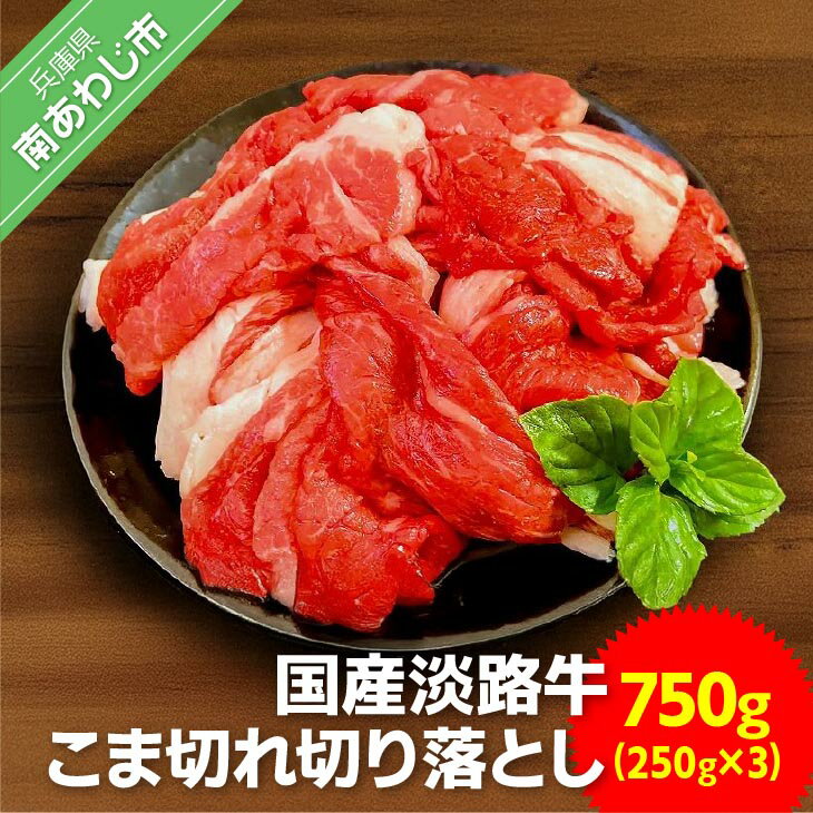 【ふるさと納税】【ムラカミ食品】国産 淡路牛切り落とし 750g（250g×3パック）ふるさと納税 牛肉 切り落とし