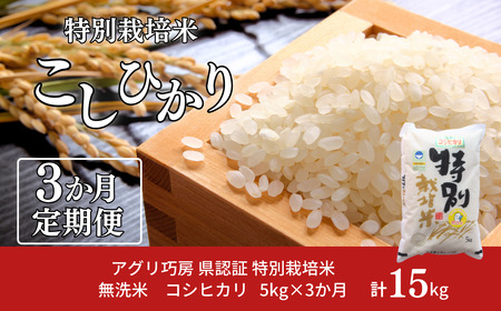 [定期便 5kg×3ヶ月] 県認証 特別栽培米 コシヒカリ5kg 合計15kg 無洗米 新潟県認証 令和7年産 新潟県三条市産 こしひかり 3か月連続でお届け 【031S022】