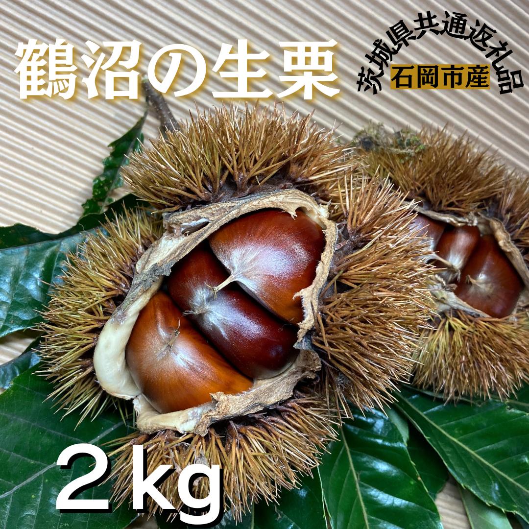 
石岡鶴沼の 生栗　2kg（茨城県共通返礼品・石岡市産）
