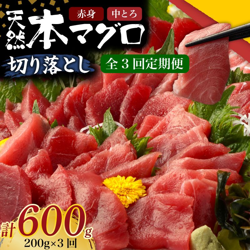 【ふるさと納税】 3回 定期便 天然 本マグロ 中トロ 赤身 切り落とし 200g 小分け ( 100g × 2パック ) 訳あり マグロ 刺身 カルパッチョ まぐろ丼 まぐろ漬け丼 魚 惣菜 海鮮丼 魚介類 食べきりサイズ 冷凍 不揃い クロマグロ 黒マグロ ふるさと納税マグロ 高知県 室戸市