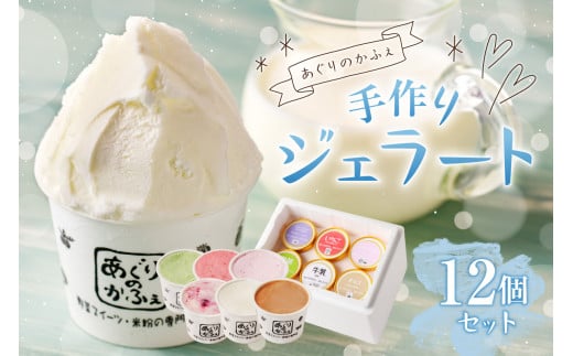 手作りジェラート12個セット【あぐりのかふぇ】 ns029-002