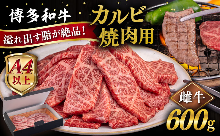 【A4/A5等級】博多和牛 カルビ 焼肉用 600g 糸島市 / ヒサダヤフーズ [AIA050]   黒毛和牛 冷凍配送