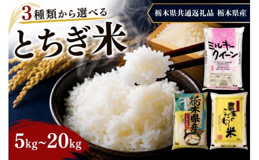 
                  選べる 栃木県産 お米 白米 5kg～20kg こしひかり ミルキークイーン ブレンド米 | 栃木県 矢板市　栃木県共通返礼品 栃木県産
                
