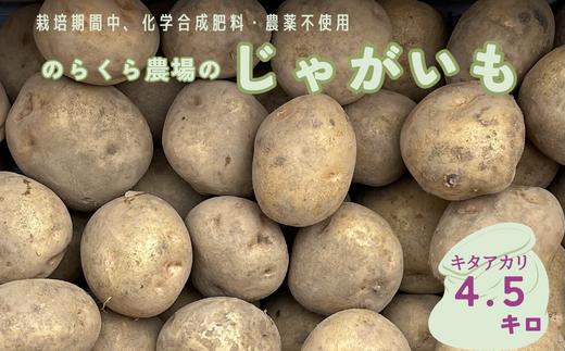 【先行受付・2025年発送】のらくら農場のじゃがいも（キタアカリ）4.5kg［NK-118］