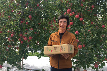 【26年3月発送】りんご 平均糖度13度以上！ 品種おまかせ 約3kg 訳あり クール便 青森 果物 フルーツ 林檎 リンゴ くだもの 不揃い 規格外