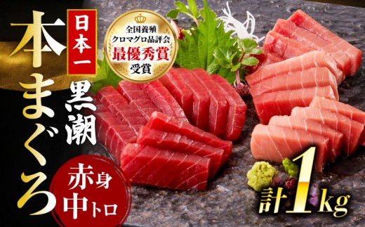 本マグロ2種セット (中トロ・赤身) 約1kg  (高知道水)