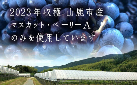 【数量限定】マスカット・ベーリーA「山鹿」　赤ワイン・辛口　750ml ギフト箱入り 【菊鹿ワイナリー】[ZFB001]