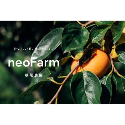 ふるさと納税 大野町 岐阜県大野町産　富有柿　3L　10個入り |  | 03