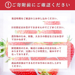 京いちご 450g いちご