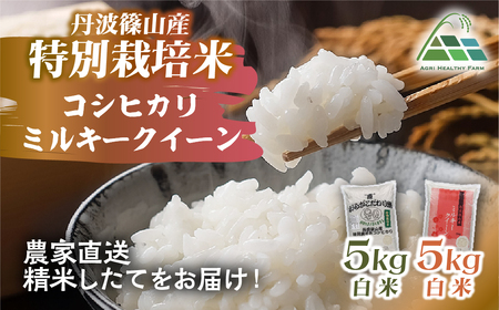 【令和8年産】丹波篠山産 特別栽培 食べ比べ (コシヒカリ5kg ミルキークイーン5kg) 特別栽培米 減農薬栽培  BE03