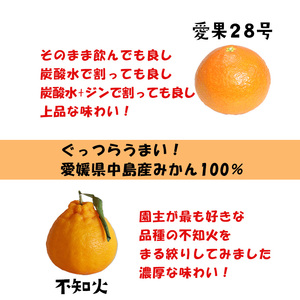 柑橘ジュース 720ml × 2本 愛果28号 不知火 詰め合わせ 【宇川農園】 【NS017】