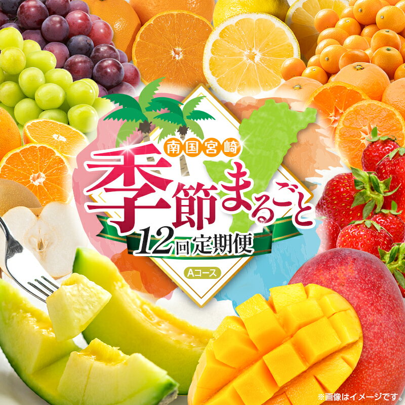 【ふるさと納税】【12回定期便】旬 人気 フルーツ 南国宮崎産 太陽のタマゴ たまたまエクセレント シャインマスカット ピオーネ いちご みかん 日向夏 メロン 梨 柑橘 完熟 マンゴー きんかん たまたま ぶどう 果物 詰め合わせ 宮崎県 九州 1年 毎月お届け＜Aコース M100＞