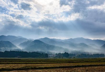 【令和7年産新米】【10回定期便】「米屋のこだわり阿賀野市産」コシヒカリ 2kg×10回 1E20067