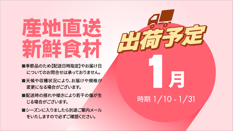 1月 田子の家庭用シナノゴールド 約10kg【訳あり】【青森りんご・長畝正幸さん生産直送・1月】