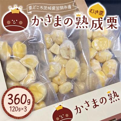 ふるさと納税 笠間市 かさまの熟成栗(むき栗)