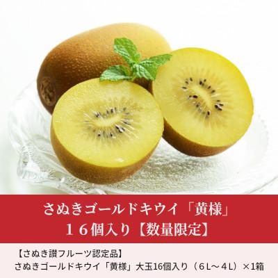 ふるさと納税 三豊市 【2025年10月から順次発送】さぬきゴールドキウイ「黄様」16個入り |  | 01