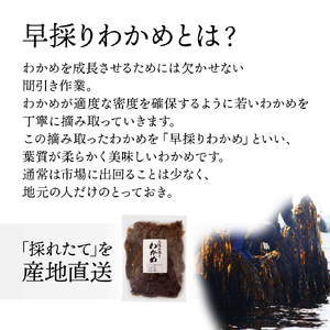 先行予約 早採り生わかめ 1kg (500g×2) わかめ