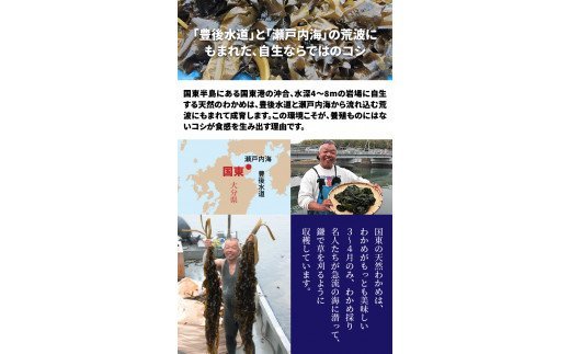 国東半島の天然お刺身わかめ(2.5kg)_102Z