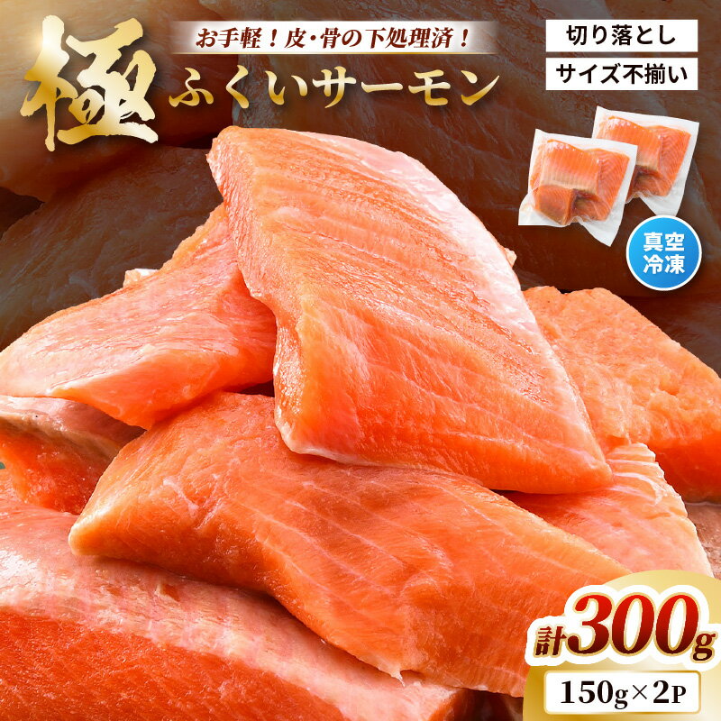 【ふるさと納税】【先行予約】 【訳あり】 ふくいサーモン切り落とし (生食用) 150g × 2パック 合計300g 皮はぎ・骨抜き加工済 サイズ不揃い 真空冷凍 【2025年8月上旬以降順次発送】 【サーモン 鮭 しゃけ 切り落とし 生食可 焼き サラダ 鮮度 水産加工品 海産 魚介類】