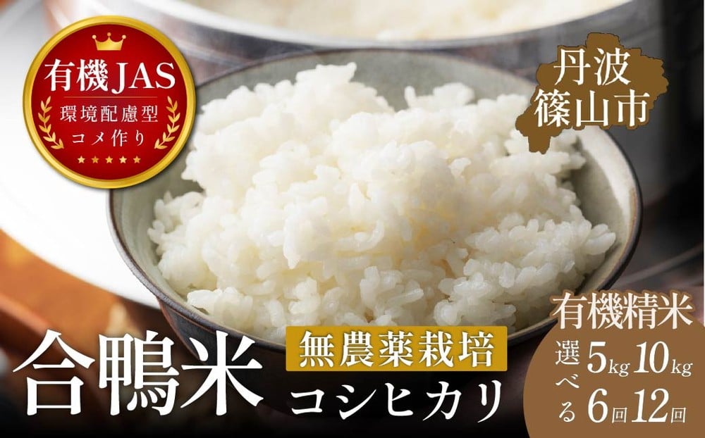 
                  【定期便】有機JAS認証 兵庫県丹波篠山産 コシヒカリ 精米〈合鴨農法・無農薬・無化学肥料〉5kg・10kg × 6回・12回定期便選択可 伝田農産の希少米 令和8年産予約
                