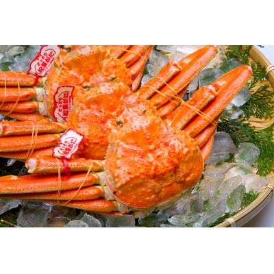 ふるさと納税 京丹後市 ズワイガニ 姿【厳選!タグ付きブランド蟹】茹で松葉かに 600g級×3杯 |  | 01