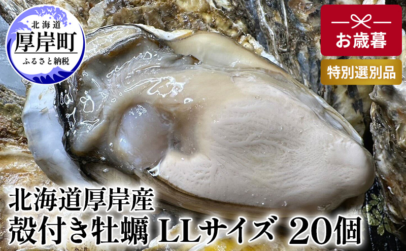 
北海道 厚岸産 殻付き 牡蠣 LLサイズ 20個 お歳暮 特別選別品 [№5863-1033]
