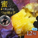 【ふるさと納税】 つぼ焼き芋 冷凍 6個入り さつまいも 国産 焼き芋 焼芋 スイーツ デザート おやつ 間食 甘味 芋 おいも やきいも 6本 1.2kg 蜜芋 おすすめ 美味しい やきいも 京都府 宇治市