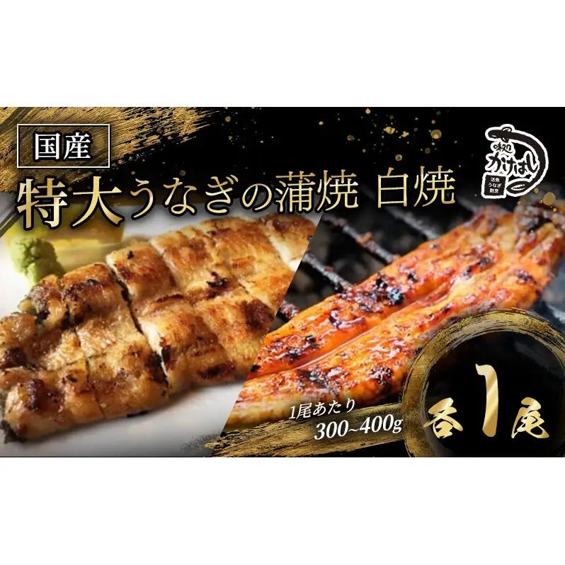 うなぎ 特大 国産 かけはし 蒲焼き・白焼き 備長炭焼き うなぎ【1尾 300〜400g】