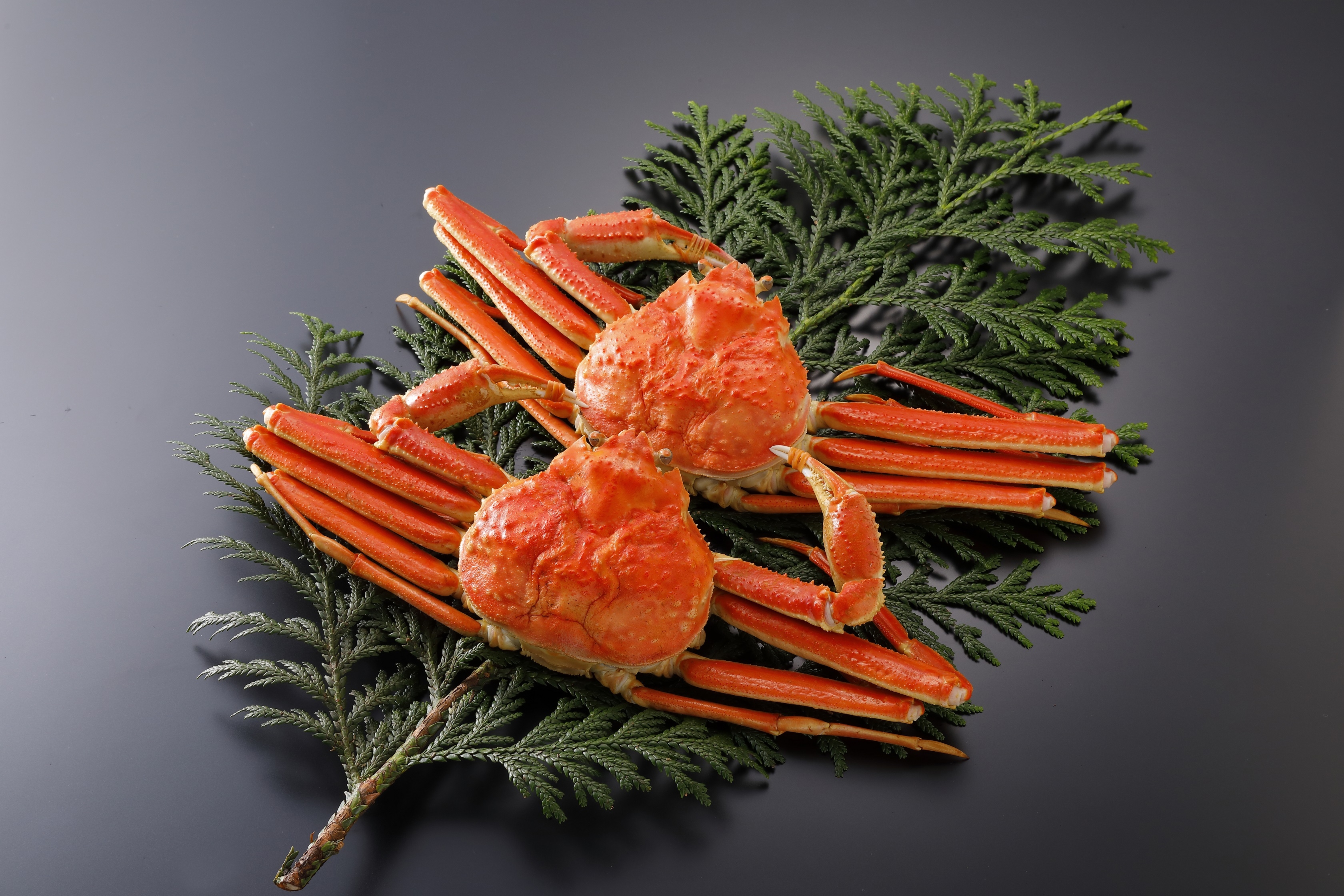 
            【ボイル】訳あり 松葉がに 900g超の大きいサイズ　特大2杯
          