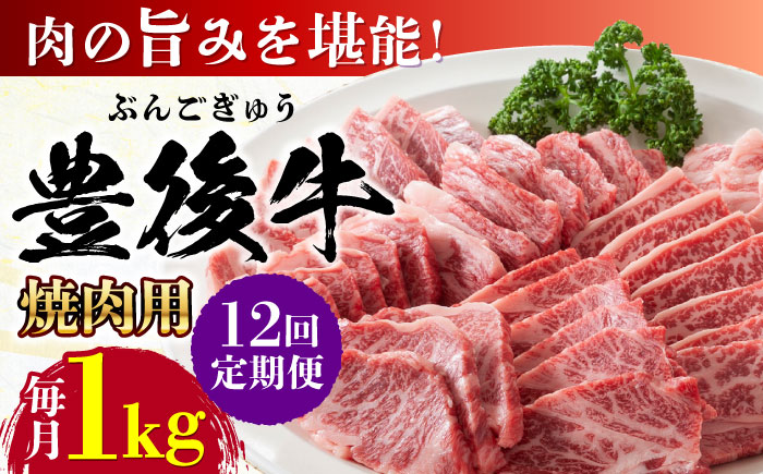 【全12回定期便】おおいた豊後牛 焼肉用 1kg(500g×2P) 日田市 / 株式会社MEAT PLUS　牛 うし 黒毛和牛 和牛 豊後牛 [AREI103]