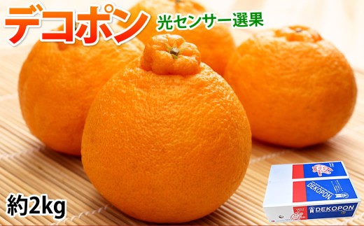 デコポン I12光センサー選果 約2kg （5～10玉） 【2026年12月上旬～2027年5月下旬発送予定】 でこぽん 蜜柑 みかん 果物 果実 フルーツ 熊本県 熊本市 常温