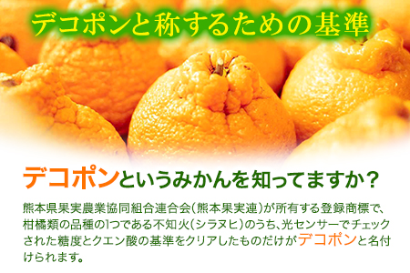 デコポン 約3kg 不知火 フレッシュフーズ デコポン