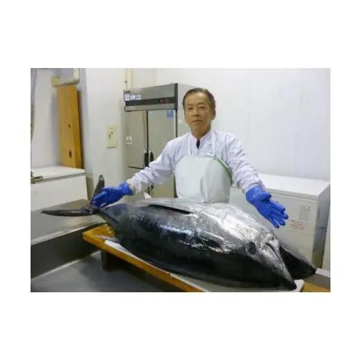 本マグロ【3回定期便】長崎県産 本まぐろ 3種セット  ( 大トロ 中トロ 赤身 ) 総計800g以上【本家永松屋】
