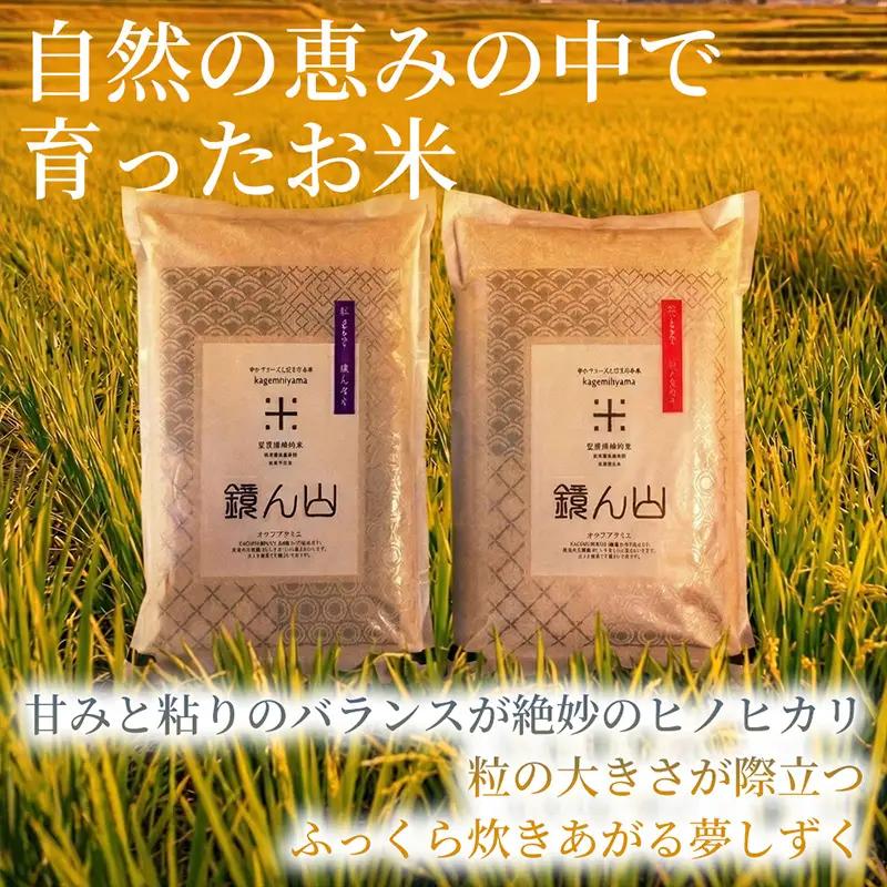 【2つの味わいを楽しむ】自然栽培米 ヒノヒカリ(白米)・自然栽培米 夢しずく(白米) 各2kg×1袋 1セット 食べ比べ米 お米セット 詰め合わせ 毎日ごはん 贅沢ごはん 厳選お米