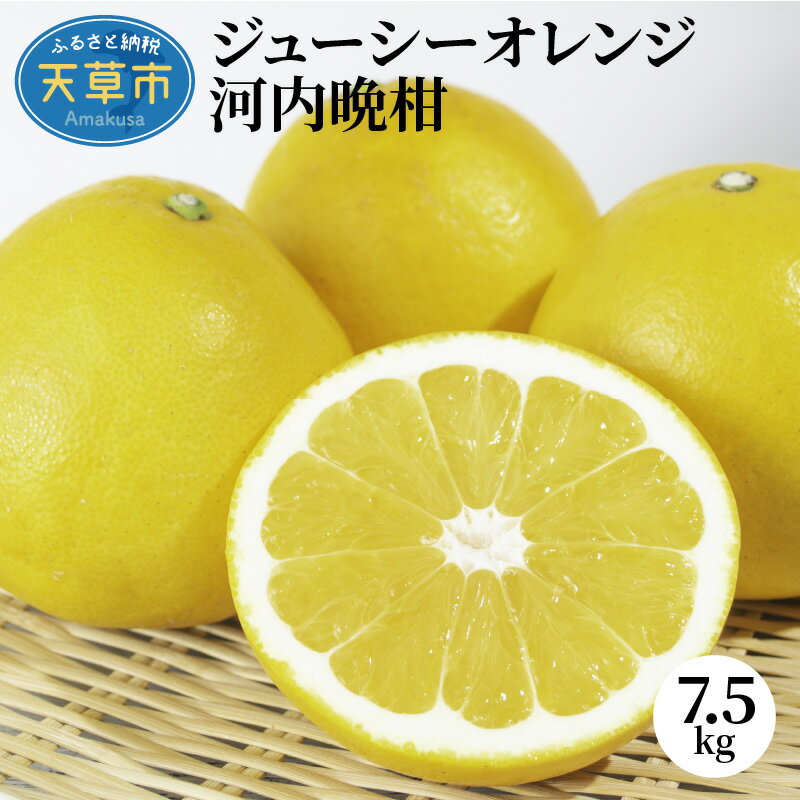 晩柑 7.5kg オレンジ 和製 グレープフルーツ ジューシーオレンジ 柑橘 フルーツ 果物 果汁 爽やか みずみずしい 熊本県 天草 お取り寄せ お取り寄せグルメ お土産 送料無料 食べ物 常温 河内晩柑