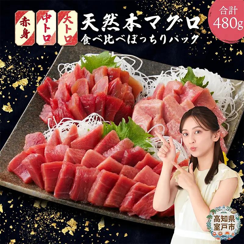 天然本マグロ切り落とし480g 【まぐろ】tk037