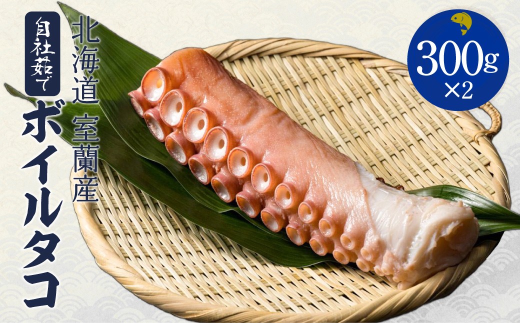 
                  北海道 室蘭産 自社茹でボイルタコ 300ｇ×2 【 ふるさと納税 人気 おすすめ ランキング たこ タコ 蛸 ボイルタコ 刺身 たこ焼き 唐揚げ 酢の物 カルパッチョ 煮物 料理 おつまみ  ギフト プレゼント 仕送 贈答用 北海道 室蘭市 送料無料 】 MROCB001
                