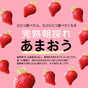 【完熟朝採れ】福岡県産ブランドいちご(12月～3月発送) あまおう 約270g×4パック　R00202