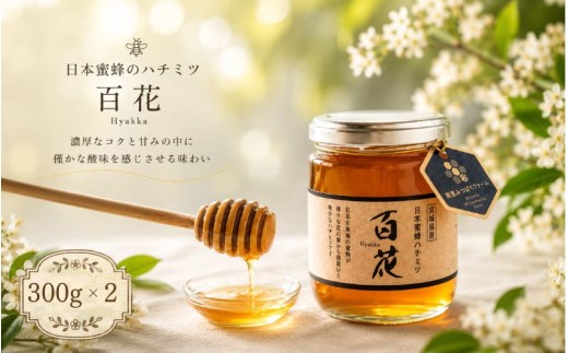 日本蜜蜂のハチミツ 300g×2 瓶入り / はちみつ みつばち ハチミツ 天然 日本蜂蜜 蜂蜜【mmfm004】