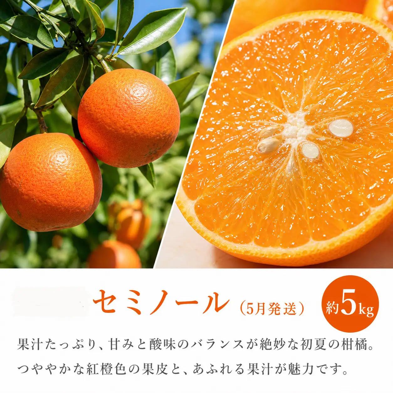 【定期便】【全3回】紀州和歌山産旬のフルーツ定期便（セミノール・スイカ・桃）【5月・6月・7月】【tkb453】