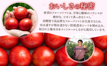 夜須のフルーツトマト 2kg 定期便 3回 トマト Wyu-0027