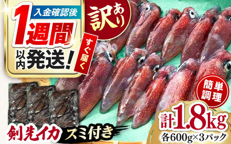 【1週間以内発送】訳あり 剣先イカ 1.8kg(3パック)  [WAC051] いかいかいかいかいかいかいかいかいか スピード発送 最速発送 最短発送