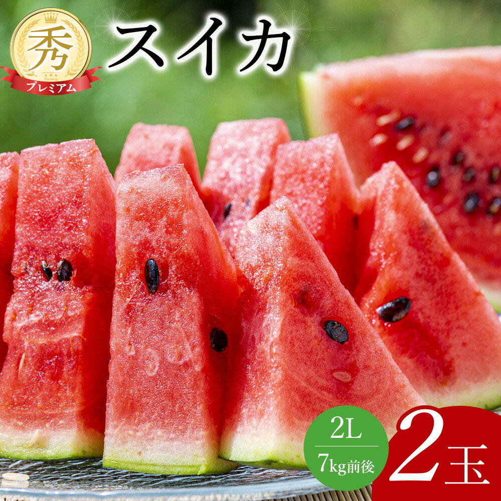 【ふるさと納税】240.【先行予約】プレミアムスイカ 2L×2玉 ※5月下旬～8月上旬頃に順次発送予定 ※着日指定不可（こちらの返礼品は、大栄西瓜ではありません） | 西瓜 スイカ 果物 フルーツ くだもの 鳥取県 北栄町 おすすめ 人気 送料無料