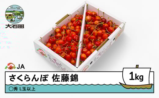 
            先行予約 さくらんぼ 佐藤錦 1kgバラ ◯秀 L玉以上 2026年産 令和8年産 果物 フルーツ 山形県産 ja-snbax1
          