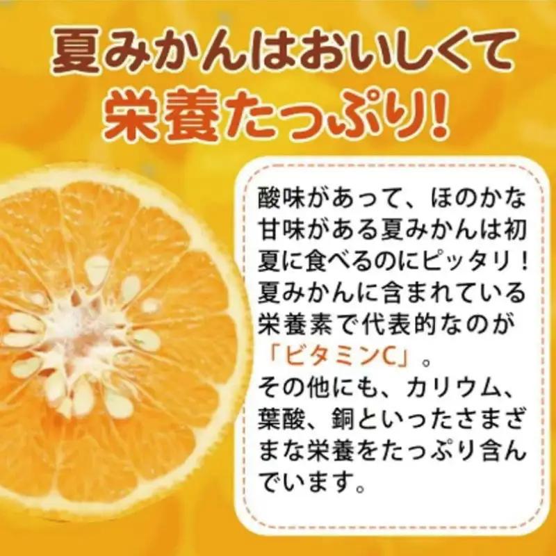 夏みかん 7.2kg　※2027年4月中旬頃～2027年4月末頃順次発送（お届け日指定不可）【uot775】