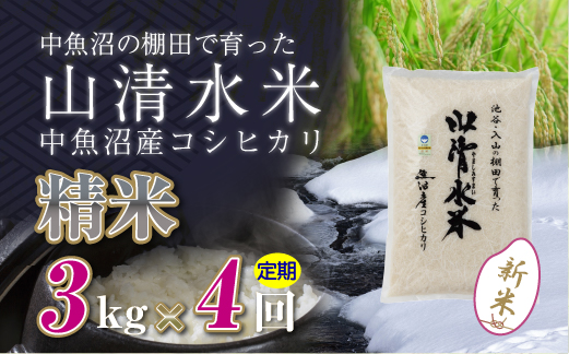 【令和8年産 新米】 【定期便／全4回】精米3kg 新潟県魚沼産コシヒカリ「山清水米」