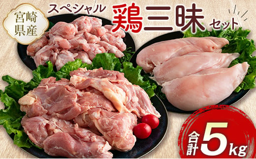 
宮崎県産鶏肉 スペシャル鶏三昧セット 合計5kg【B607】
